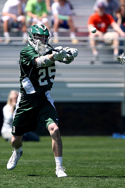 头角的老将 头角的老将