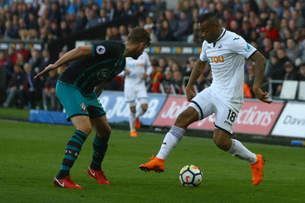 带来了希望 带来了希望